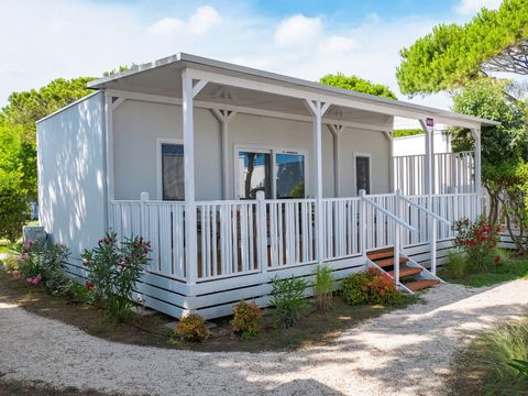 MOBILHOME 5 personnes - Lodge Elite Dog