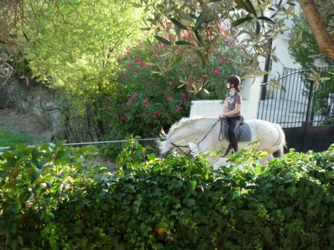 Camping L'Olivier  - Camping Gard - Image N°42