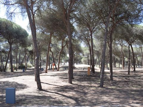 Emplacement - Parcela Estandar para tiendas con sombra natural