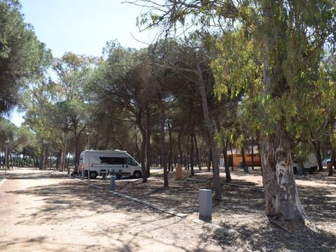 Emplacement - Parcela Estandar para autocaravanas con sombra natural