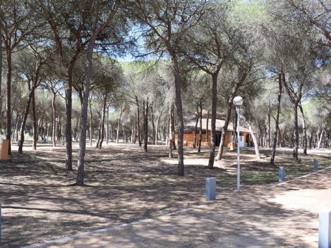 Emplacement - Parcela Estandar para caravanas con sombra natural