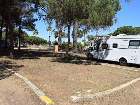 Emplacement - Parcela Estandar para caravanas sin sombra