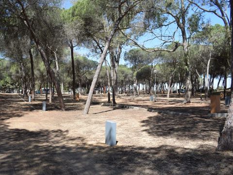 Emplacement - Parcela Estandar para tiendas sin sombra