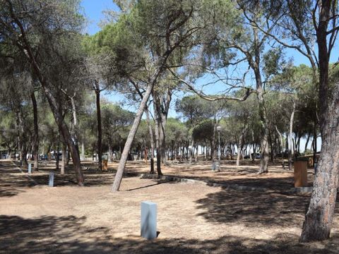 Emplacement - Parcela Estandar para autocaravanas sin sombra
