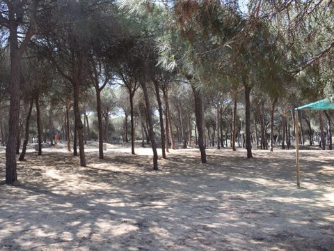 Emplacement - Parcela plus para autocaravanas con sombra natural