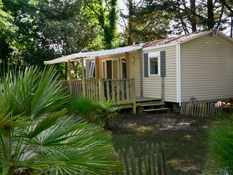 MOBILHOME 6 personnes - Home Amour Blanc 3ch (gamme Classic)