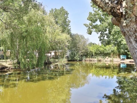 Camping Ushuaïa Villages Le Parc de la Grève - Camping Vendée - Image N°22