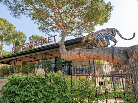 Camping Castell Montgri - Camping Gérone - Image N°34