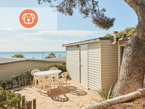 Bungalow 2 personnes - Ficus- Prix pour 2 personnes