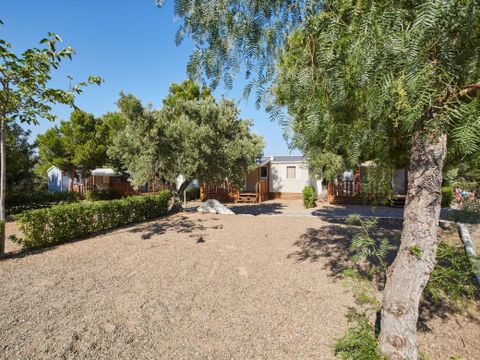 Emplacement - Confort 60m²