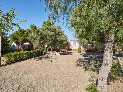 Camping Alannia Costa Dorada - Camping Tarragone - Image N°30