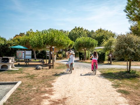 Camping Paradis Au port de l'houmeau - Camping Charente-Maritime - Image N°12