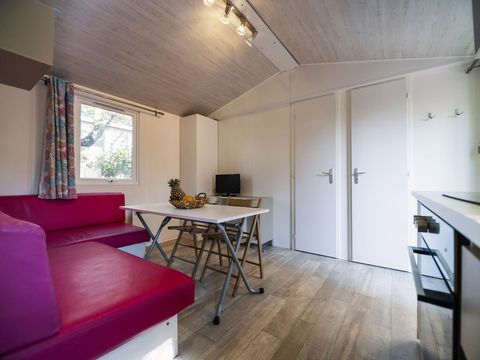 MOBILHOME 4 personnes - STANDARD - TV