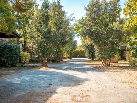 Camping Paradis Au port de l'houmeau. - Camping Charente-Maritime - Image N°21