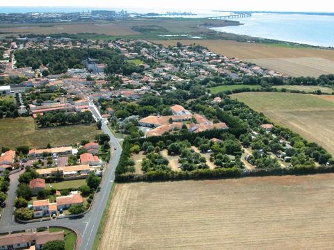 Camping Paradis Au port de l'houmeau. - Camping Charente-Maritime - Image N°23