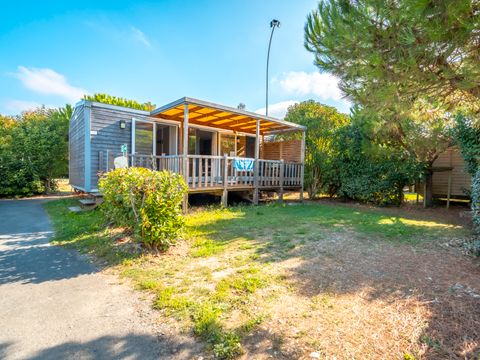 Camping Paradis Au port de l'houmeau. - Camping Charente-Maritime - Image N°3