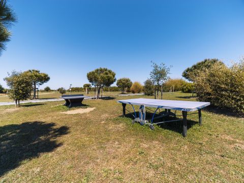 Camping Paradis Au port de l'houmeau. - Camping Charente-Maritime - Image N°28