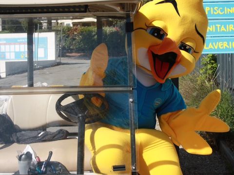 Camping Paradis Au port de l'houmeau - Camping Charente-Maritime - Image N°14