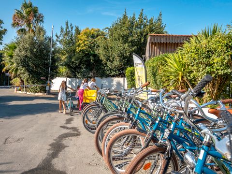 Camping Paradis Au port de l'houmeau. - Camping Charente-Maritime - Image N°16