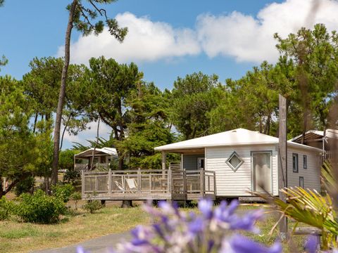 Camping Sandaya Domaine Le Midi - Camping Vendée - Image N°28