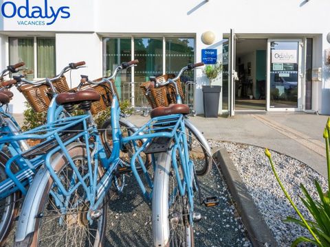 Résidence Odalys Collection Le Domaine des Pins - Camping Vendée - Image N°13