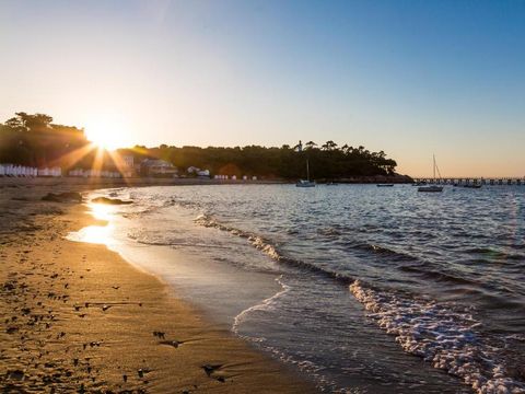 Résidence Odalys Collection Le Domaine des Pins - Camping Vendée - Image N°33