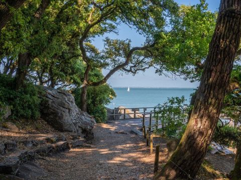 Résidence Odalys Collection Le Domaine des Pins - Camping Vendée - Image N°25