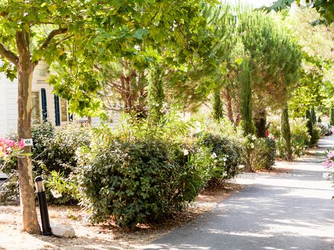 Camping La Baie des Anges - Camping Bouches-du-Rhône - Image N°35