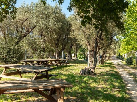 Camping La Baie des Anges - Camping Bouches-du-Rhône - Image N°17
