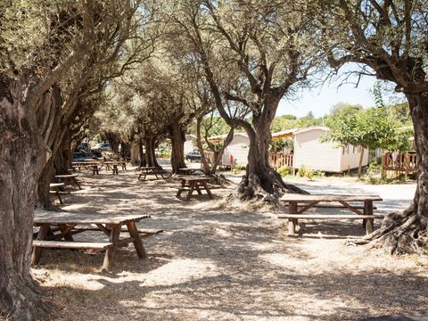 Camping La Baie des Anges - Camping Bouches-du-Rhône - Image N°29