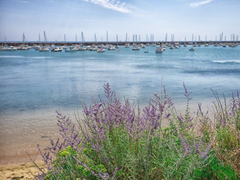 Camping Le Bosquet - Camping Vendée - Image N°14