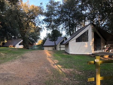 Camping Le Bosquet - Camping Vendée - Image N°3
