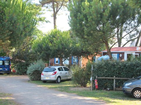 Camping Le Bosquet - Camping Vendée - Image N°6