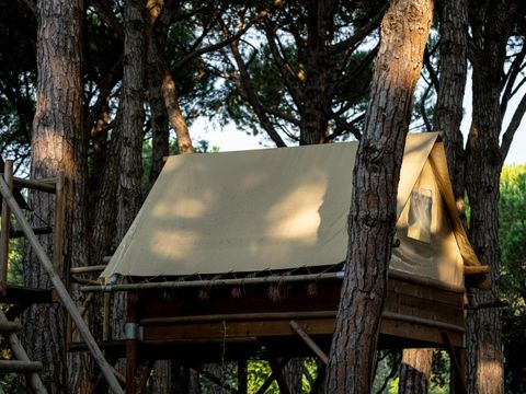 camping - Camping Venise - Image N°12