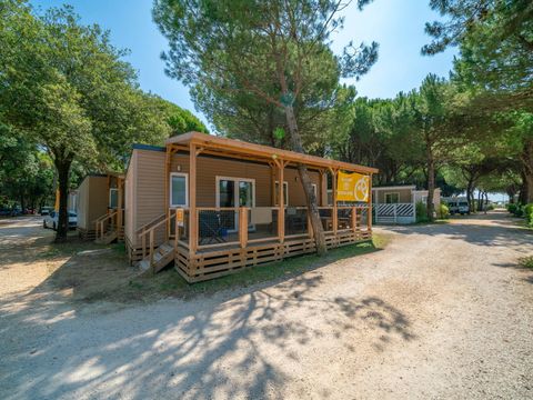 camping - Camping Venise - Image N°6