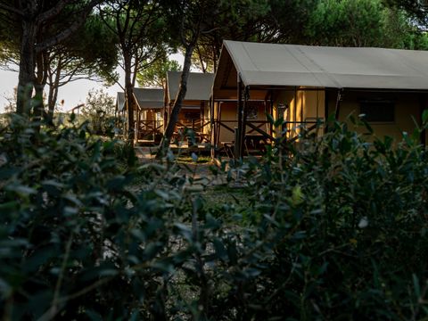 camping - Camping Venise - Image N°5