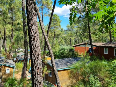 Camping Paradis - Bois Simonet - Camping Ardèche - Image N°43