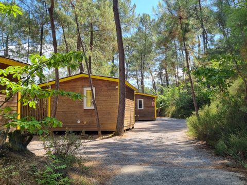 Camping Paradis - Bois Simonet - Camping Ardèche - Image N°45