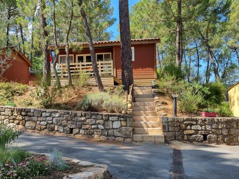 Camping Paradis - Bois Simonet - Camping Ardèche - Image N°46