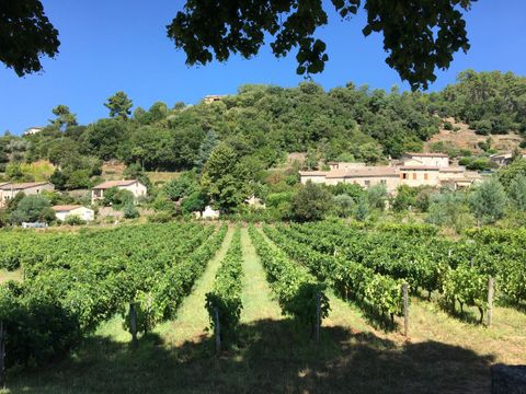 Camping Paradis - Bois Simonet - Camping Ardèche - Image N°39