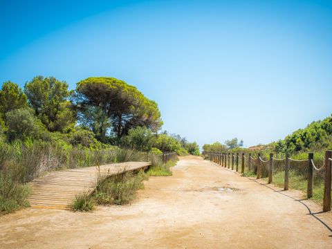 Camping Ametlla  - Camping Tarragone - Image N°33