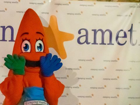 Camping Ametlla  - Camping Tarragone - Image N°43