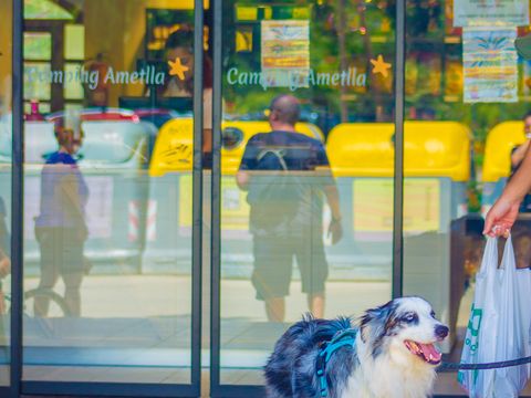 Camping Ametlla  - Camping Tarragone - Image N°50