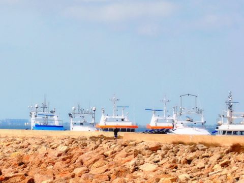 Camping Ametlla  - Camping Tarragone - Image N°54