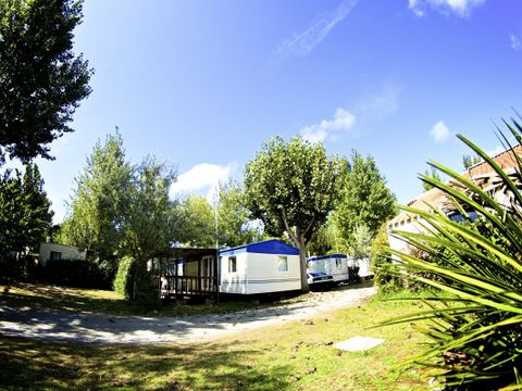 Camping Le Marais Neuf - Camping Vendée - Image N°19