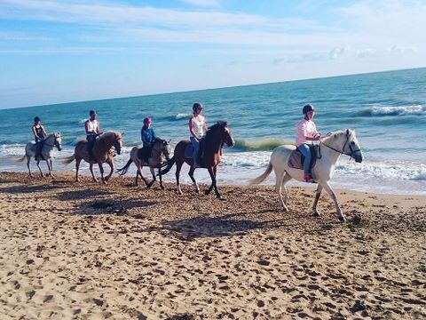 Camping Le Marais Neuf - Camping Vendée - Image N°30