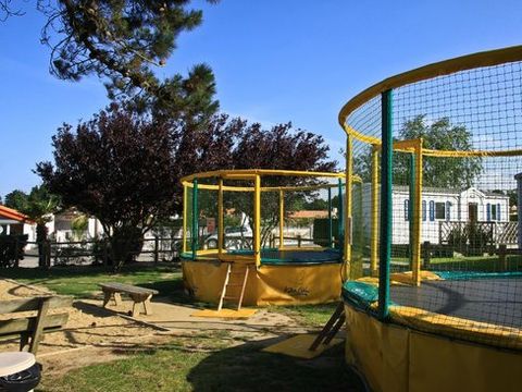 Camping Les Ecureuils - Camping Loire-Atlantique - Image N°7