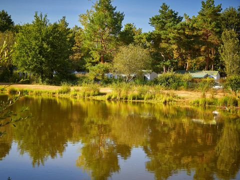 Camping Coeur de Vendée - Camping Vendée - Image N°30