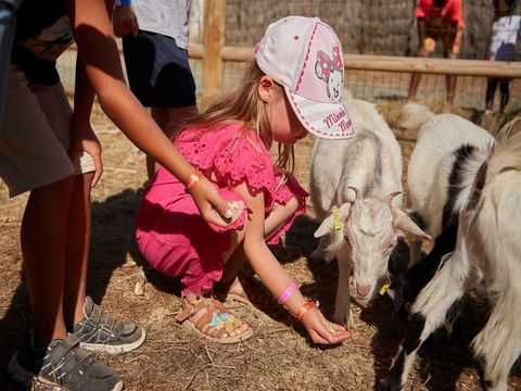 Camping Coeur de Vendée - Camping Vendée - Image N°16
