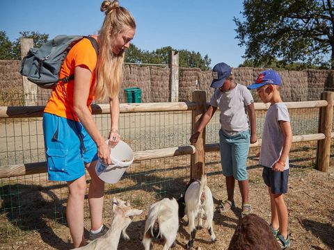 Camping Coeur de Vendée - Camping Vendée - Image N°17